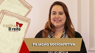 Explica Direito Filiação Socioafetiva  2019 [upl. by Eceeryt646]